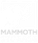 Mammoth Self Storage logo